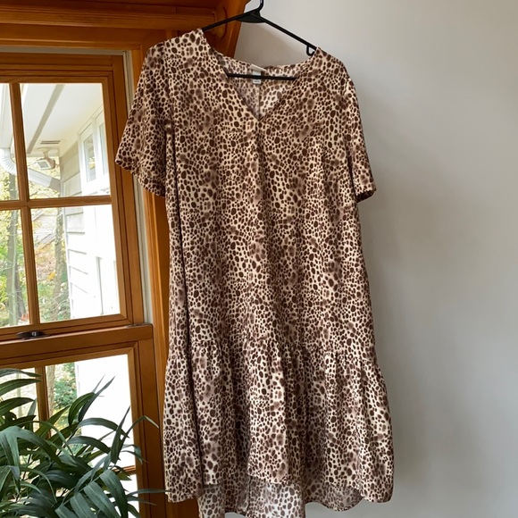 Drop Waist Leopard Print Dress | Poshmark